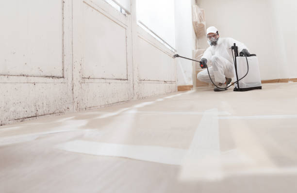 24/7 Emergency Mold Remediation experts in Anna, TX