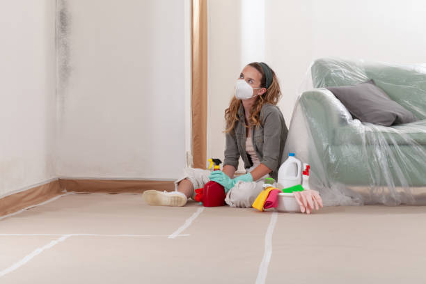 Reliable Mold Remediation contractor in Anna, TX by Car Mold Remediation